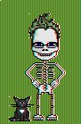Silicon_Surfer
