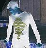VaporTransmission