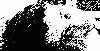 space007